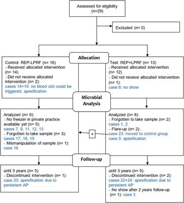 Regenerative endodontic procedures in immature permanent teeth with pulp necrosis: the impact of microbiology on the clinical and radiographic outcome